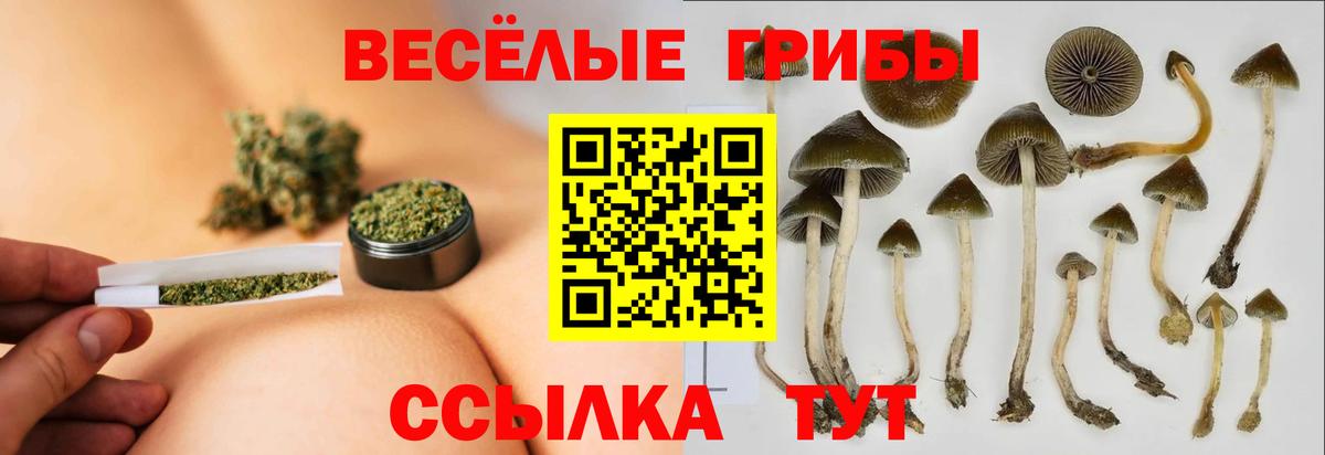 Псилоцибиновые грибы MAGIC MUSHROOMS  Вход с VPN  Урюпинск 